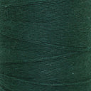 16/2 Cotton - Forest - 1/2 lb image 0