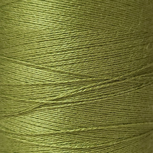 16/2 Bamboo - Pale Limette - 1/2 lb image 0