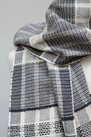 School of Weaving Kit - s07e05 Overshot with Colour and Weave
