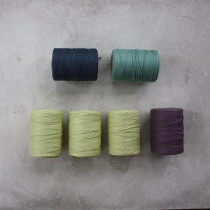 School of Weaving Kit - s04e04 Point Twill Gamp Warp Colours