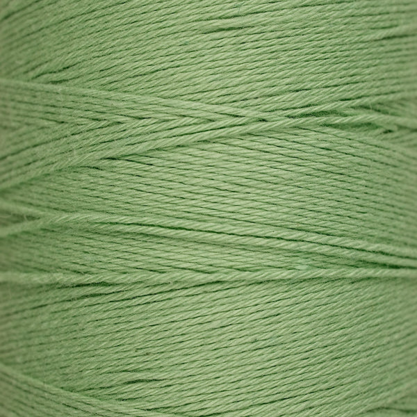 8/4 Cotton - Robin's Egg - 1/2 lb image 0