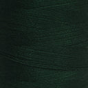 16/2 Bamboo - Forest - 1/2 lb image 0