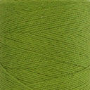 8/2 Organic Cotton - Fern Green - 100 g image 0