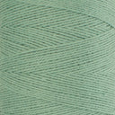 8/2 Organic Cotton - Green Turquoise - 100 g image 0