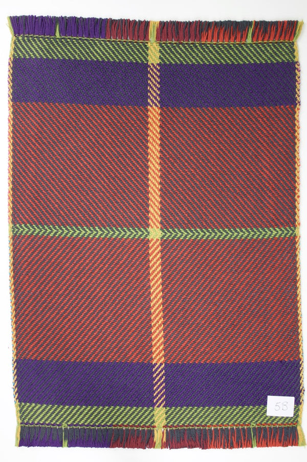 School of Weaving Kit - s08e07 interlocking double weave - 8 shaft