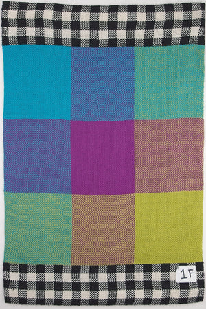 School of Weaving Kit -  s09e02 Block Double Weave with Colour and Weave - 8 shaft