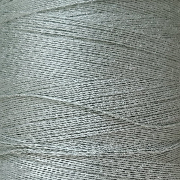 16/2 Bamboo - Cactus - 1/2 lb image 0