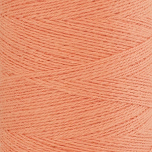 Organic Cottolin - Apricot - 100 g image 0