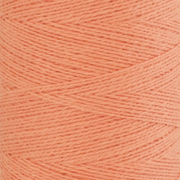 Organic Cottolin - Apricot - 100 g image 0