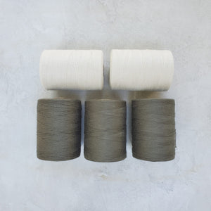 School of Weaving Kit - s07e07 Summer and Winter with Colour and Weave