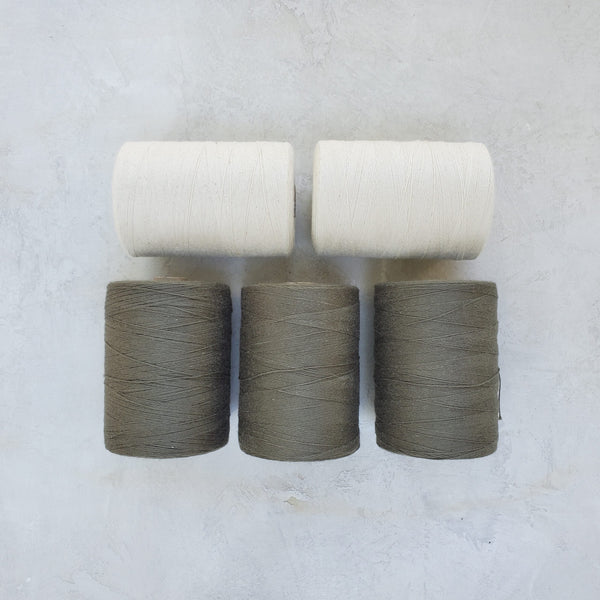School of Weaving Kit - s07e07 Summer and Winter with Colour and Weave